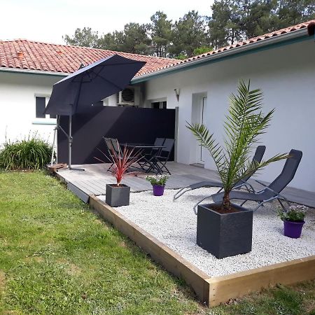 Chambre D'Hotes Du Pin Pey Exteriér fotografie