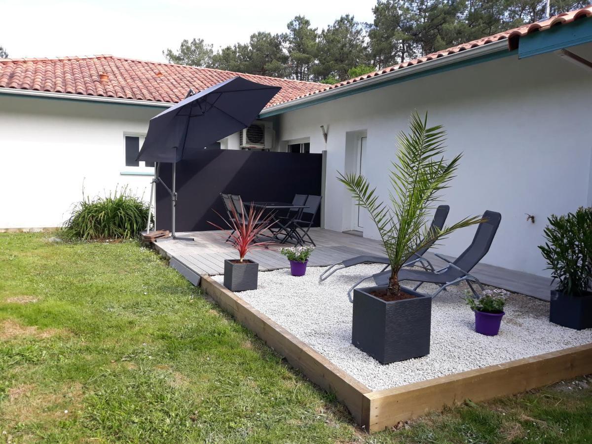 Chambre D'Hotes Du Pin Pey Exteriér fotografie